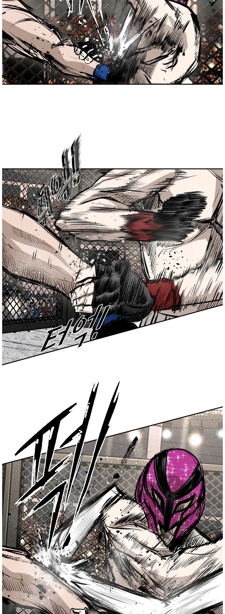 Read Shark EN Manga Online