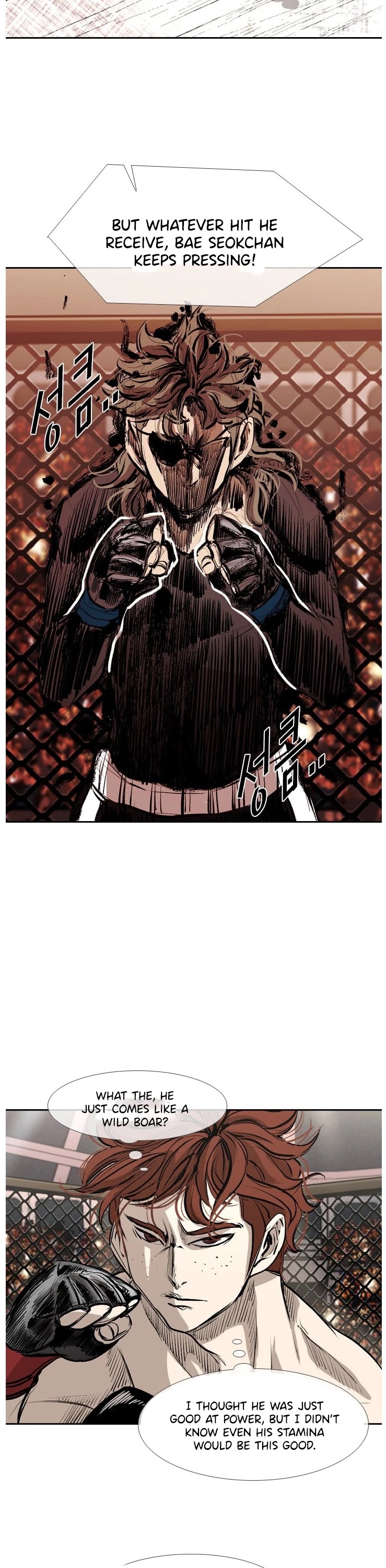 Read Shark EN Manga Online