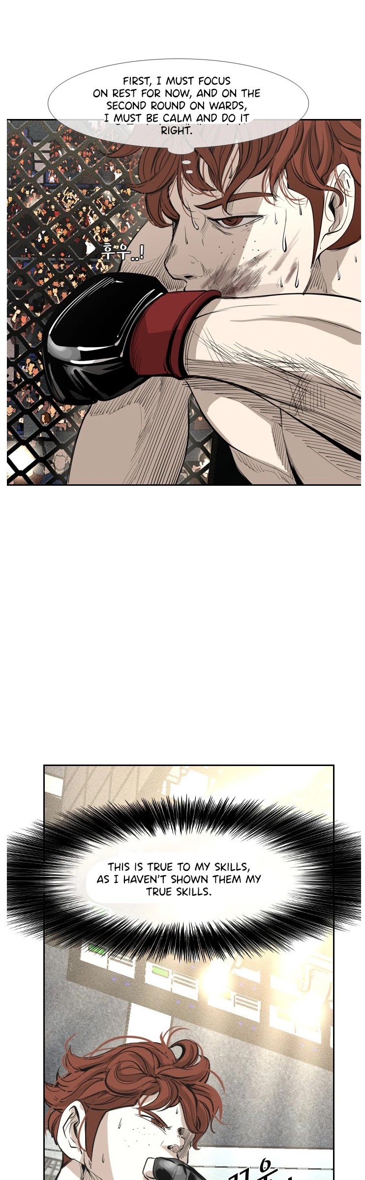 Read Shark EN Manga Online