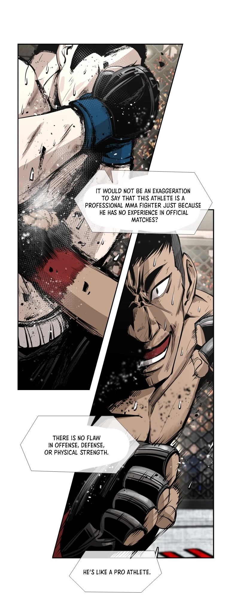 Read Shark EN Manga Online