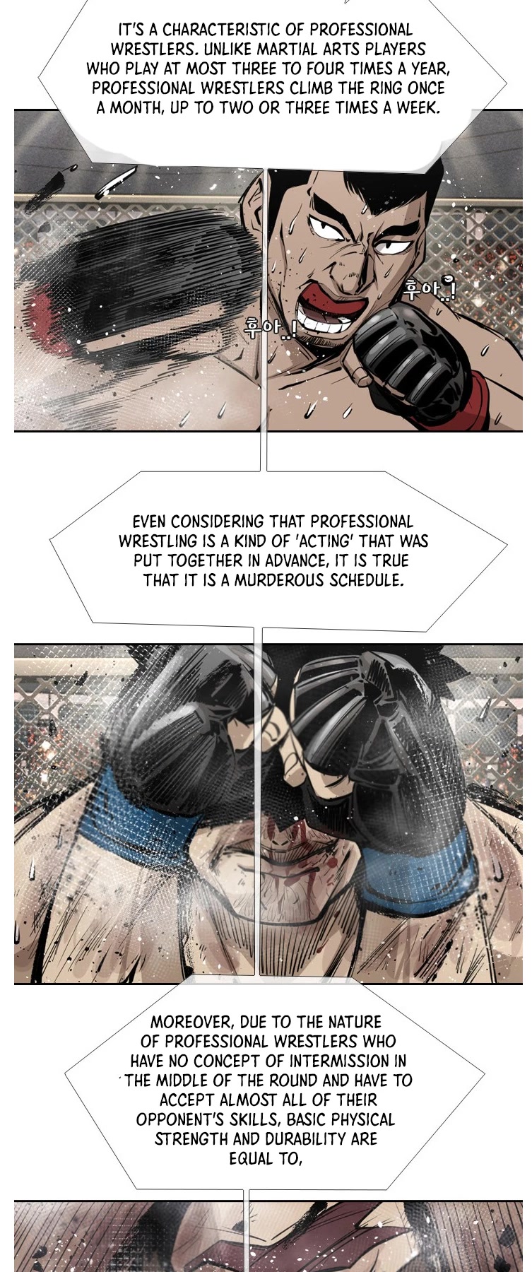 Read Shark EN Manga Online