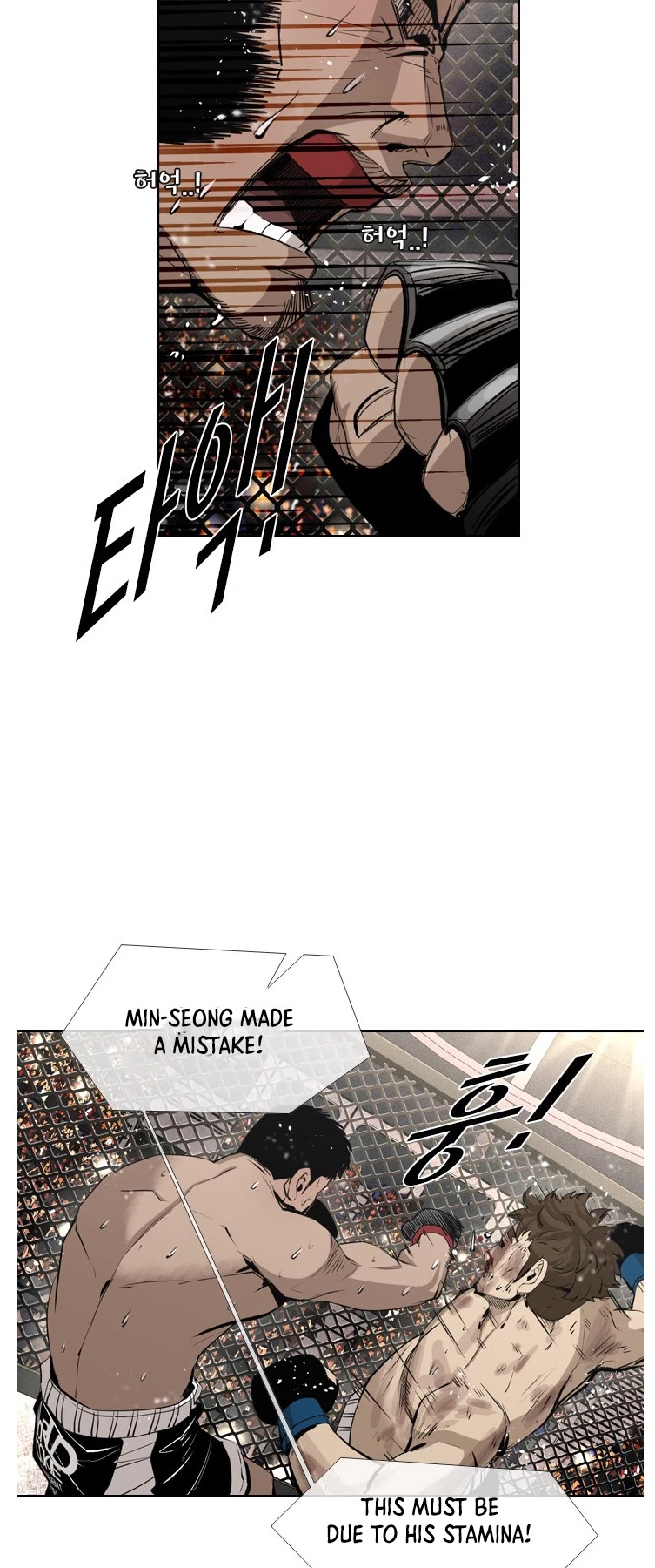 Read Shark EN Manga Online