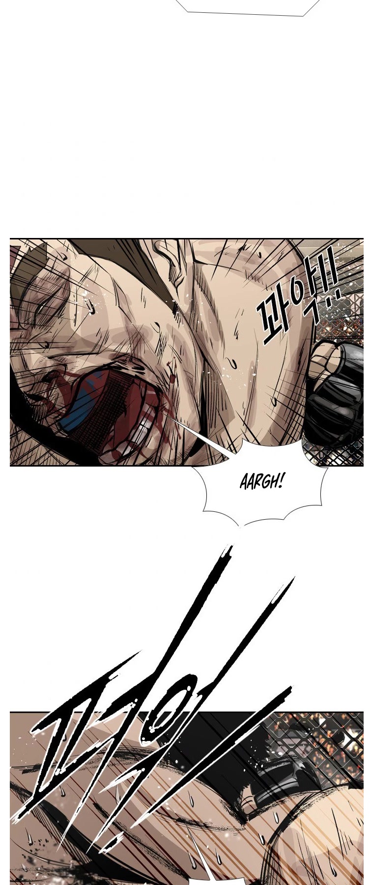 Read Shark EN Manga Online