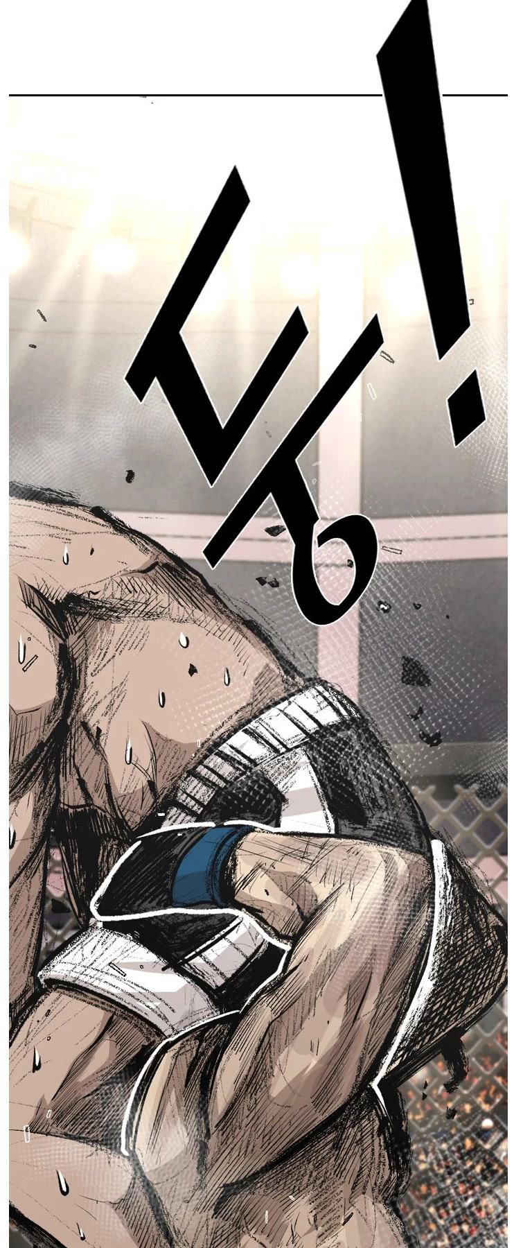 Read Shark EN Manga Online