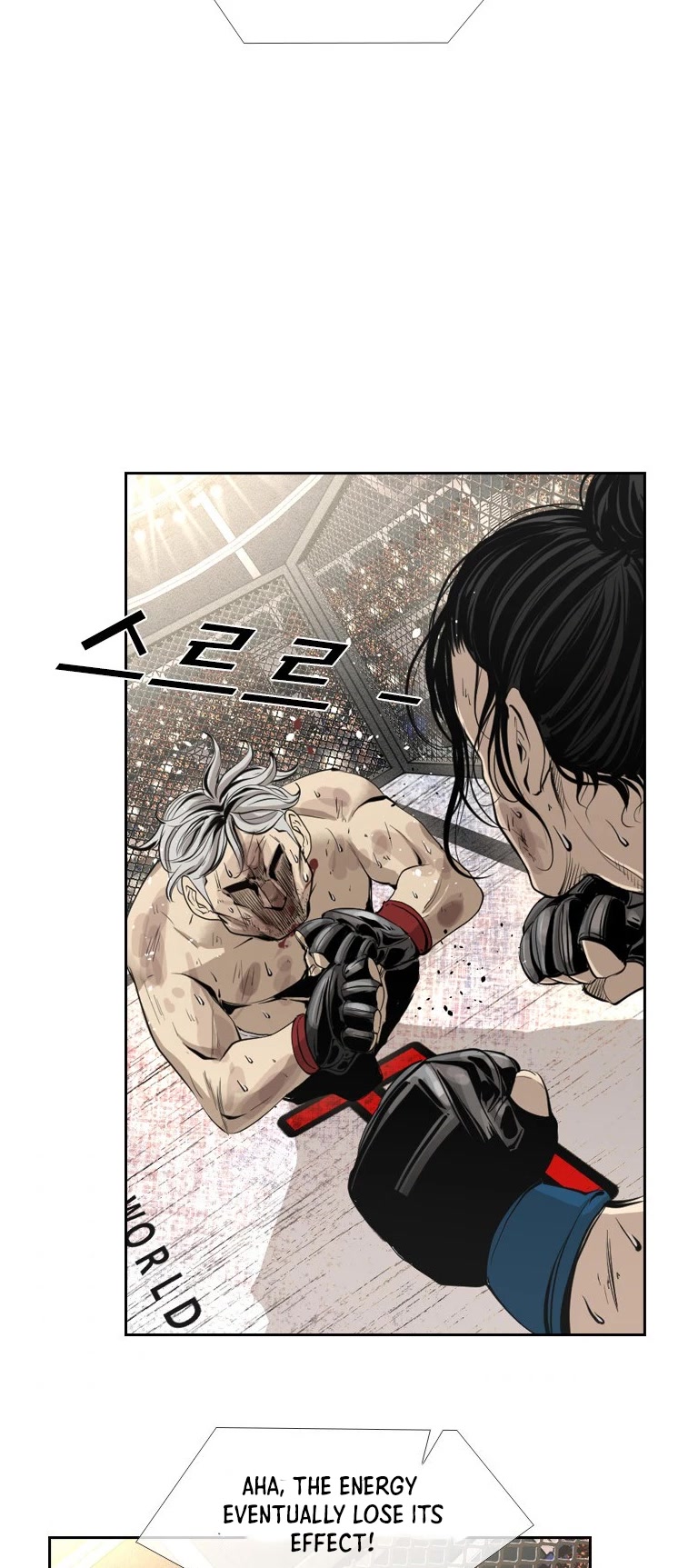 Read Shark EN Manga Online