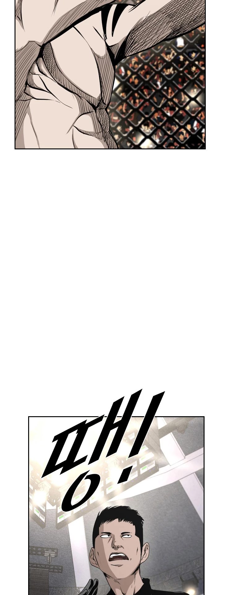 Read Shark EN Manga Online