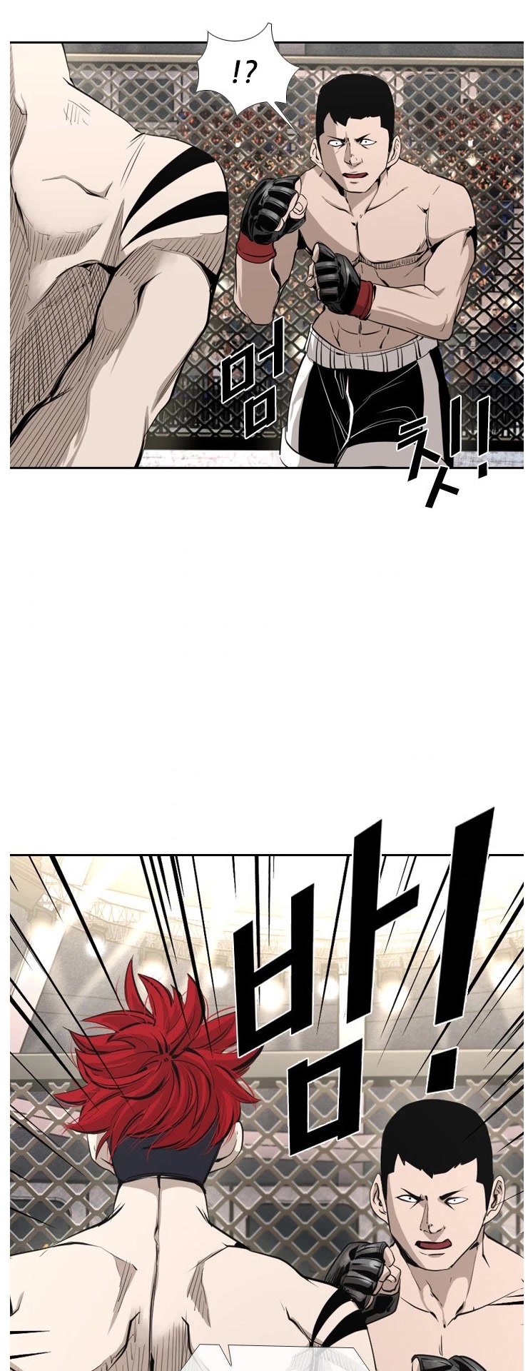 Read Shark EN Manga Online