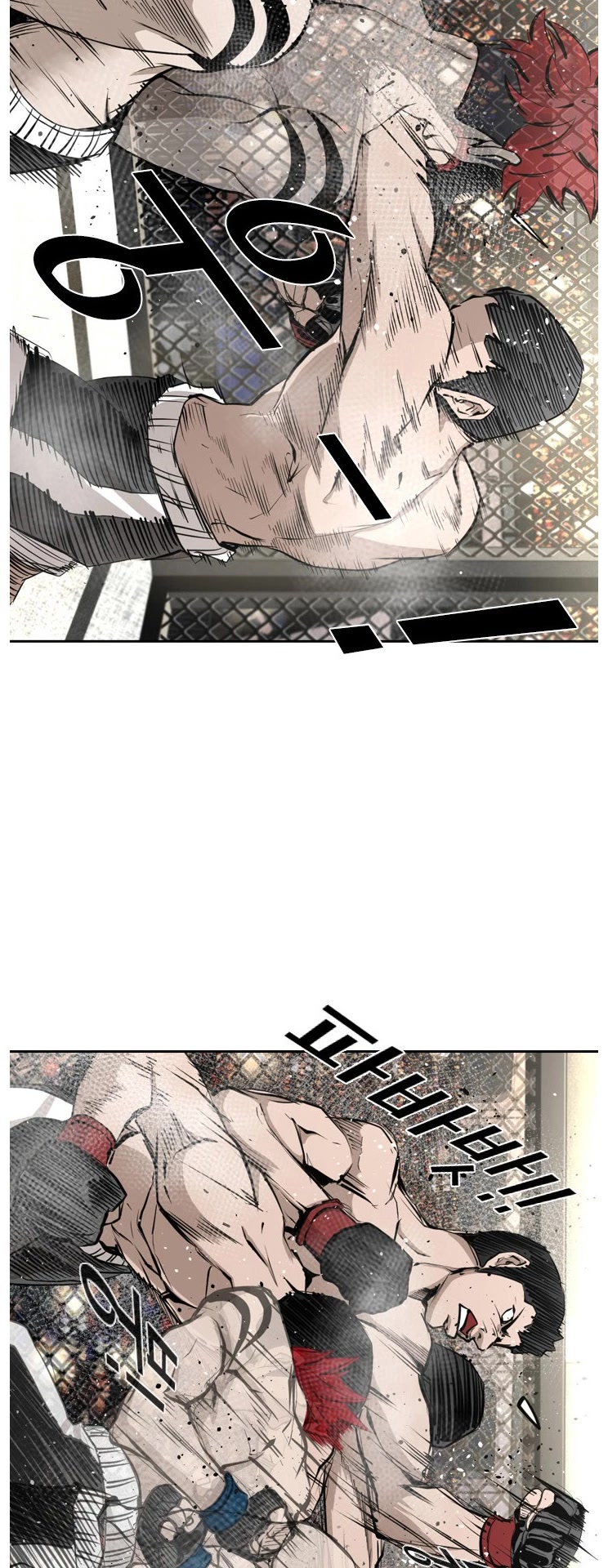 Read Shark EN Manga Online