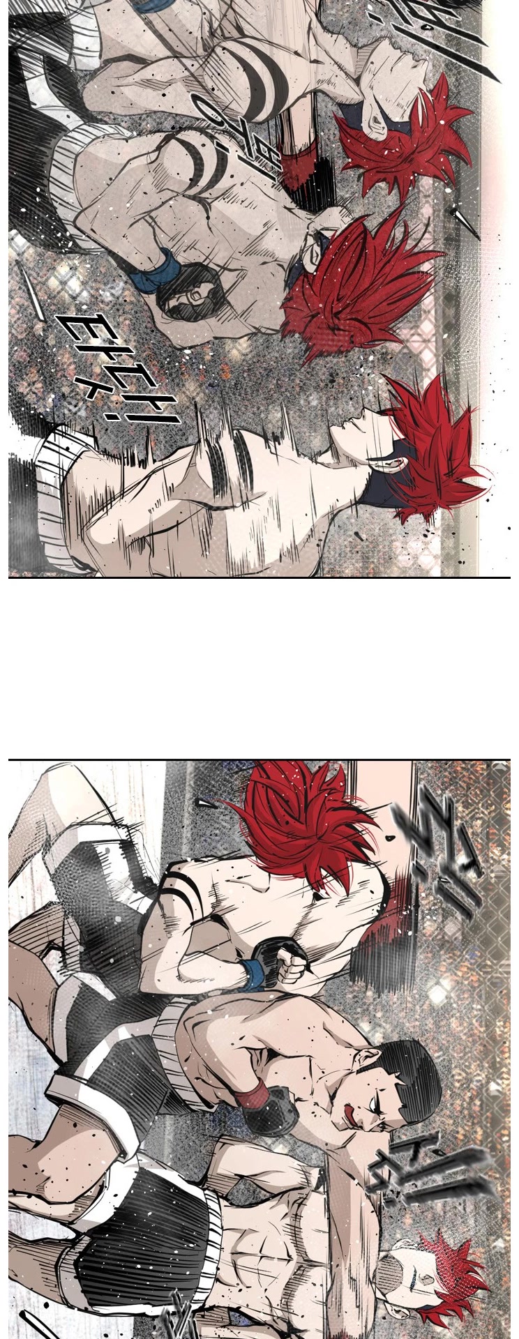 Read Shark EN Manga Online