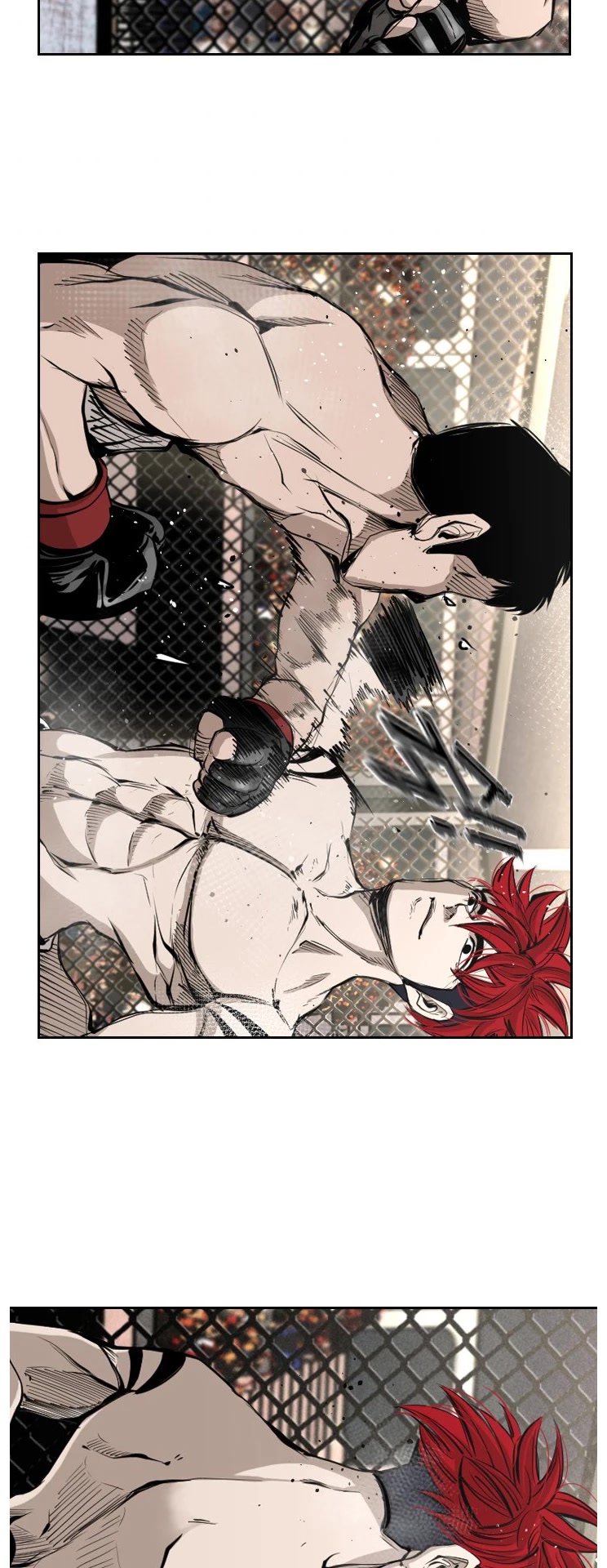 Read Shark EN Manga Online