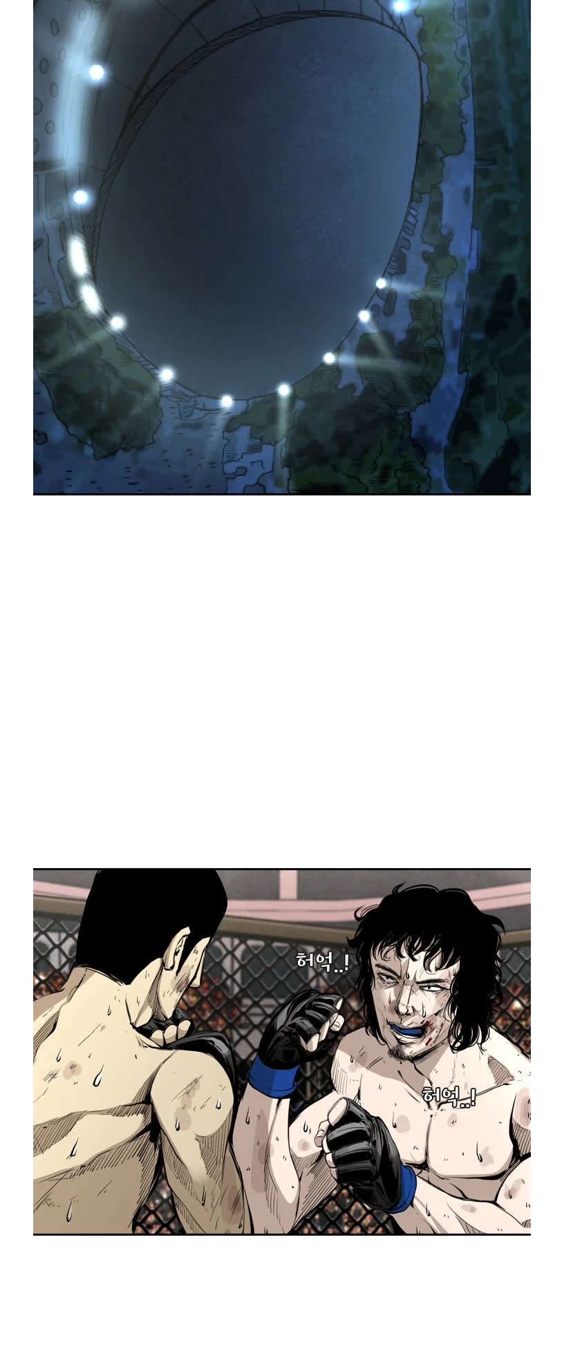 Read Shark EN Manga Online