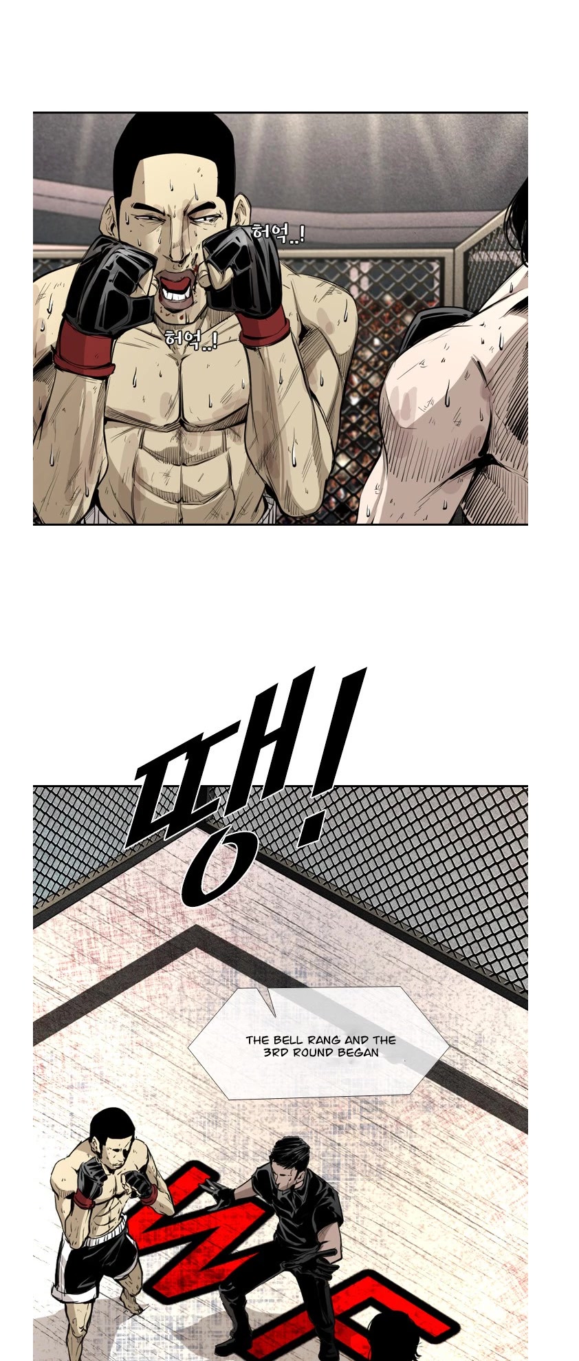 Read Shark EN Manga Online