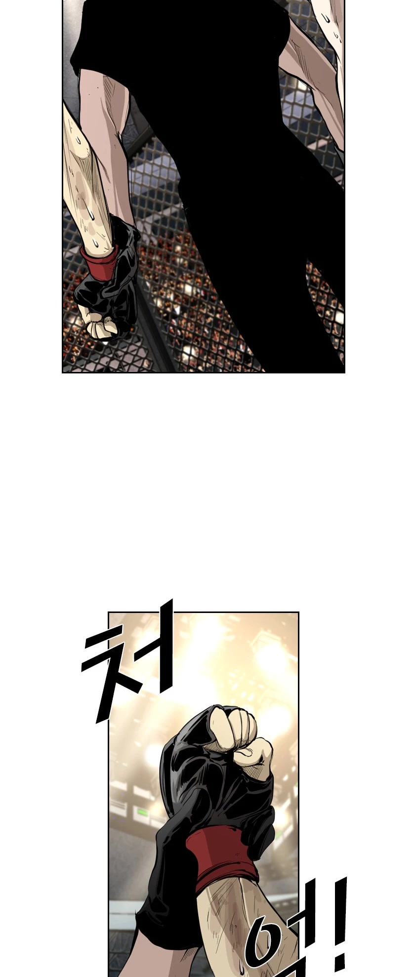 Read Shark EN Manga Online