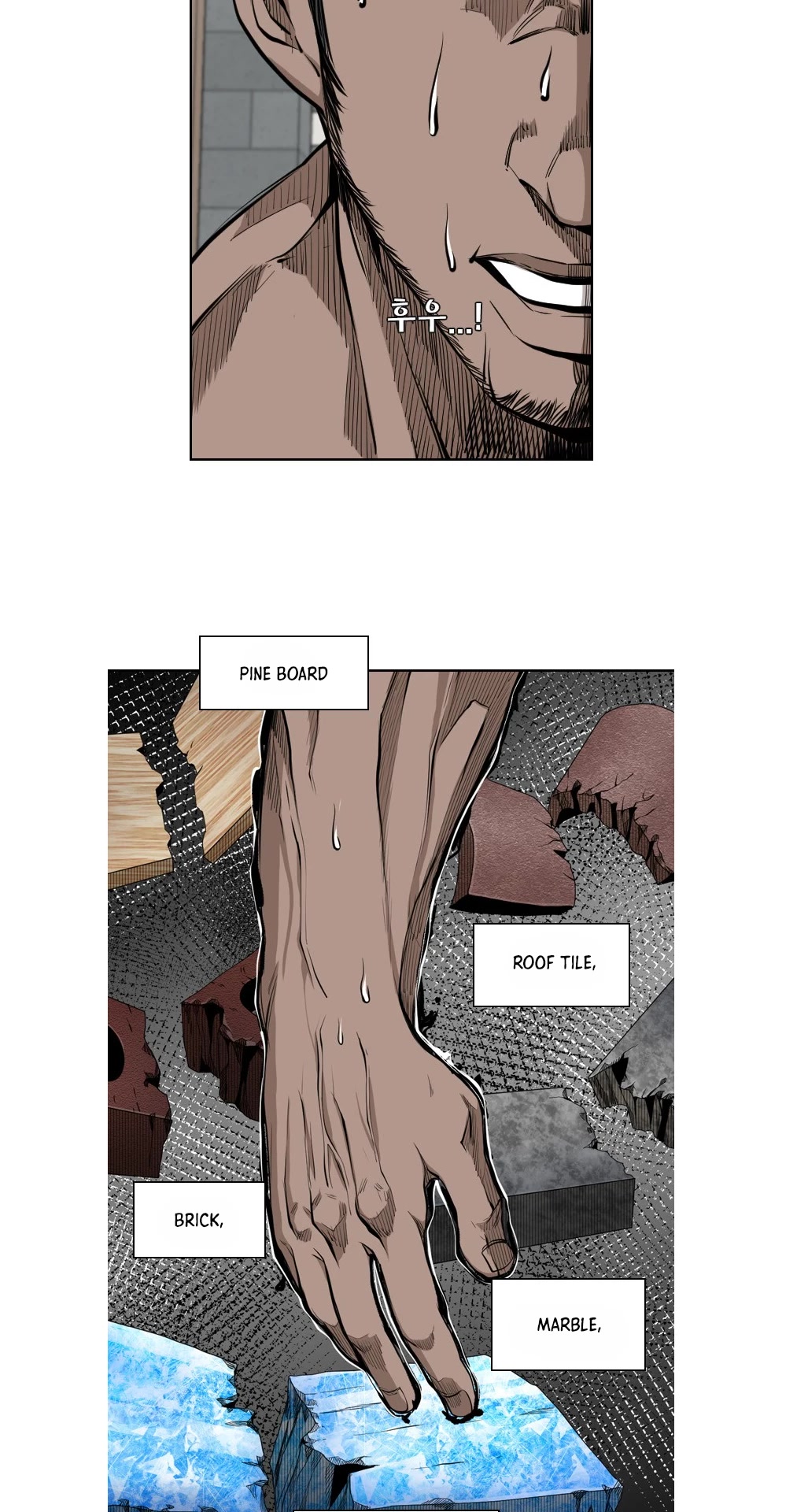 Read Shark EN Manga Online