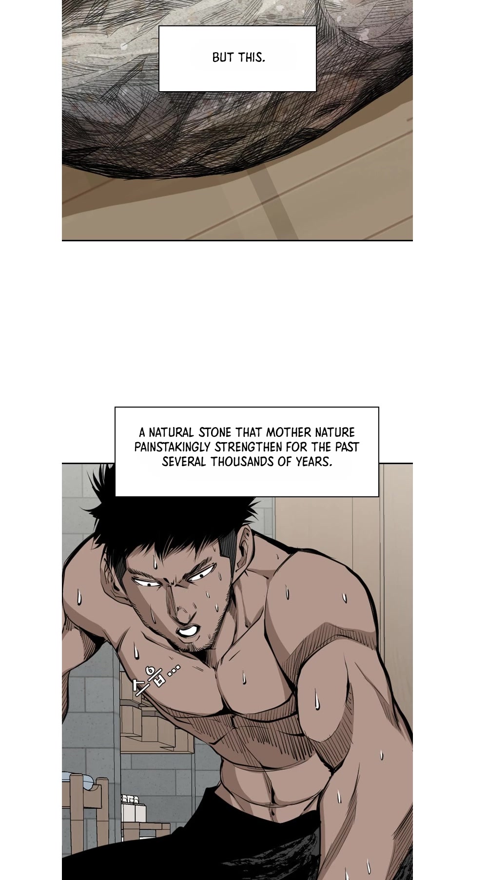Read Shark EN Manga Online
