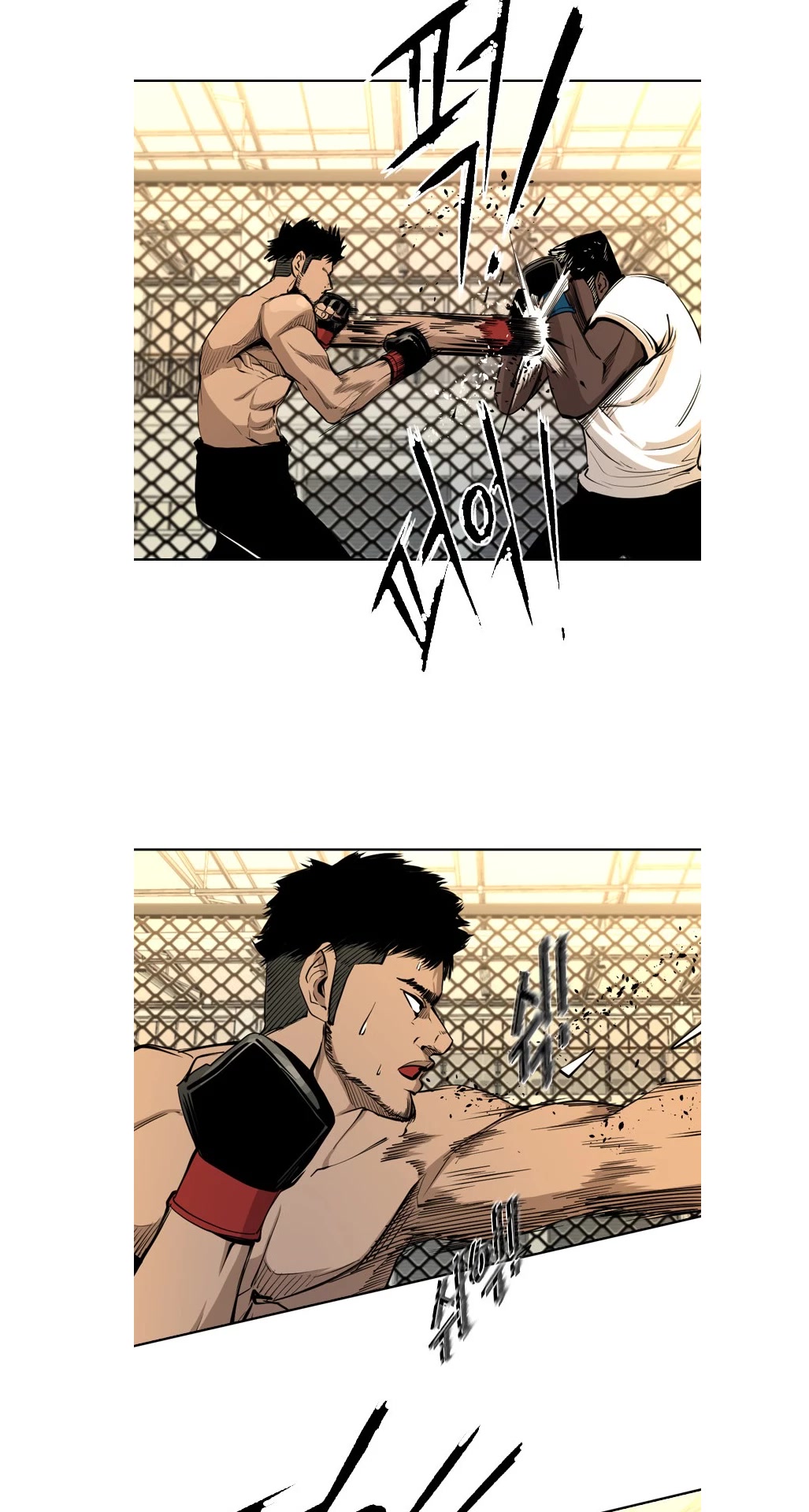 Read Shark EN Manga Online