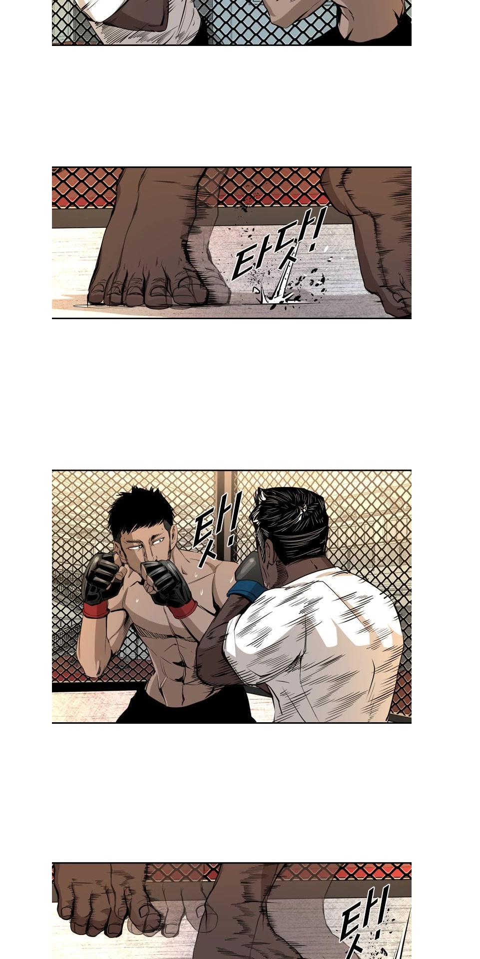 Read Shark EN Manga Online