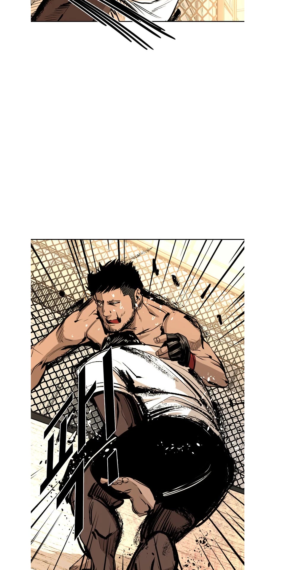 Read Shark EN Manga Online