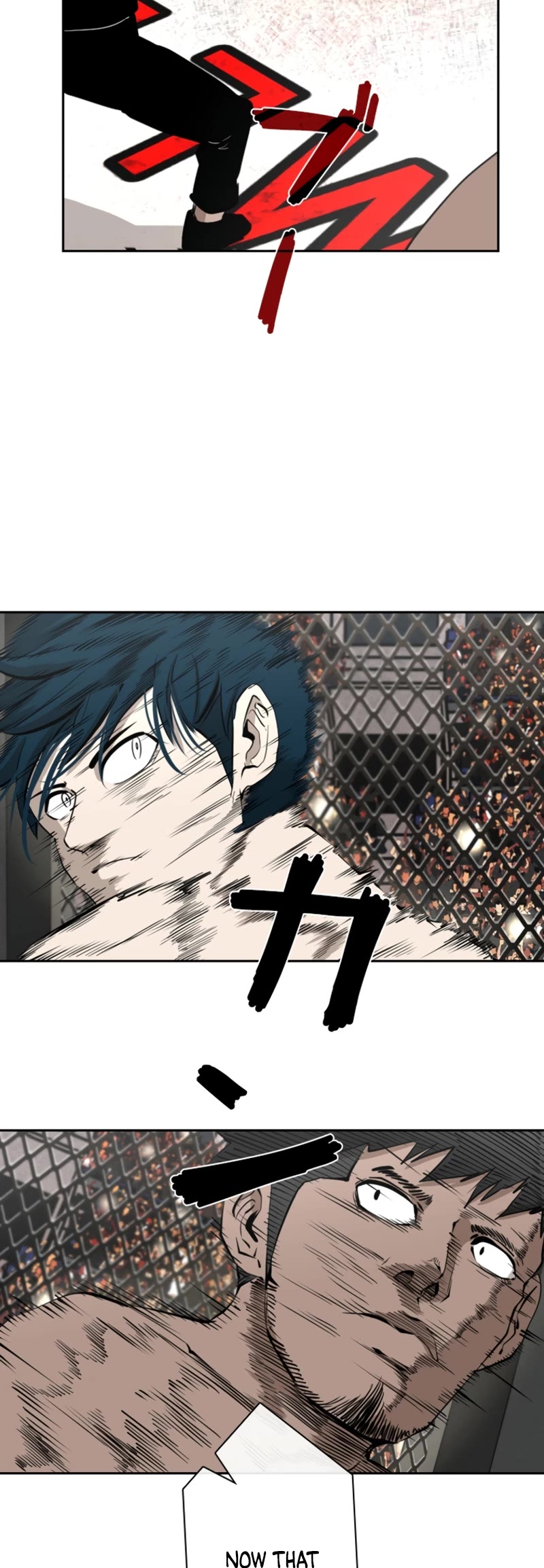 Read Shark EN Manga Online