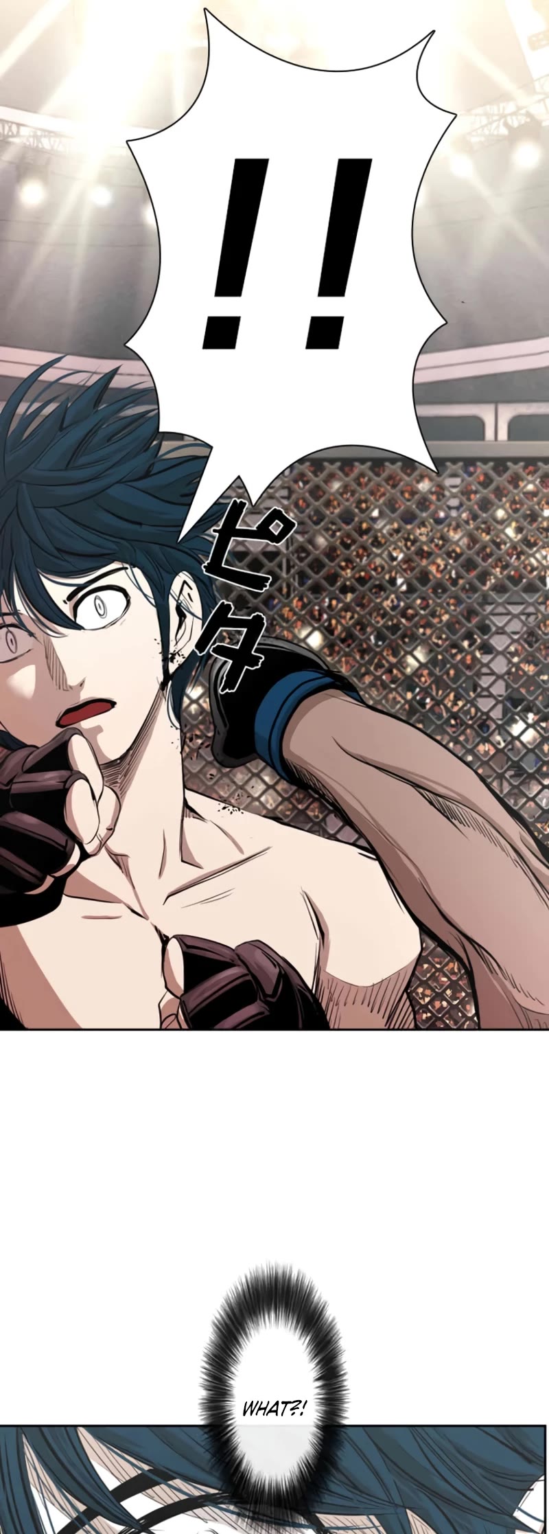 Read Shark EN Manga Online