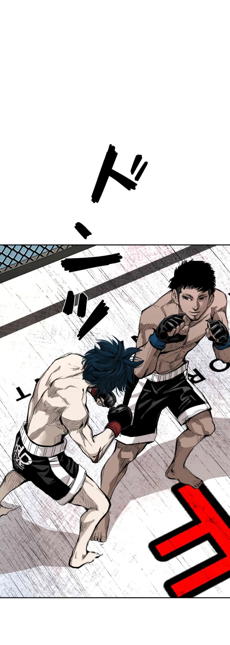 Read Shark EN Manga Online