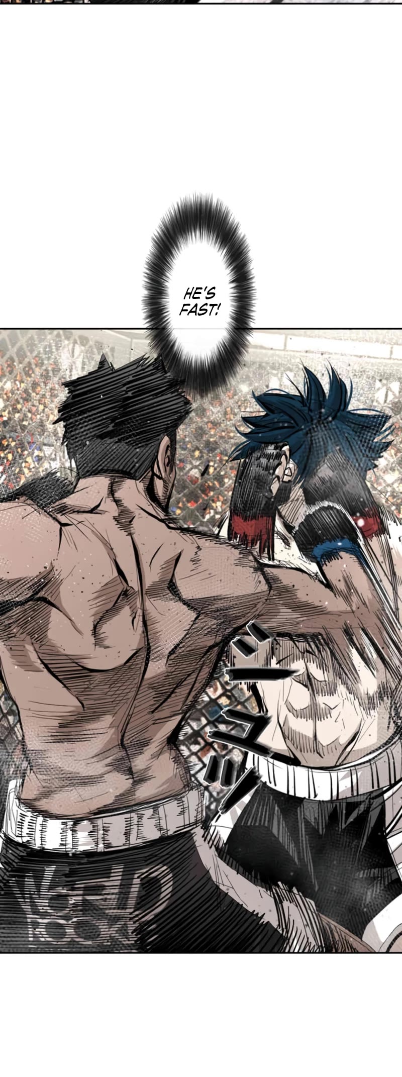 Read Shark EN Manga Online