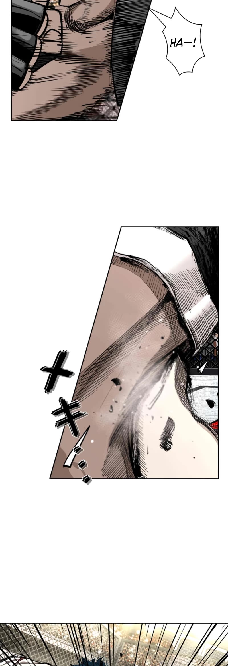 Read Shark EN Manga Online