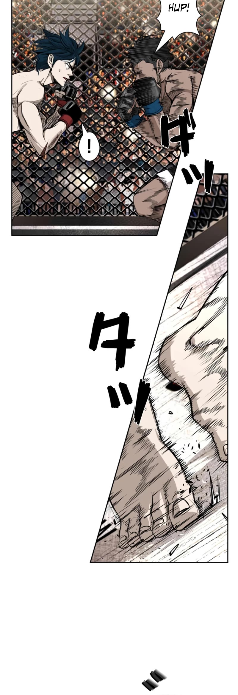 Read Shark EN Manga Online