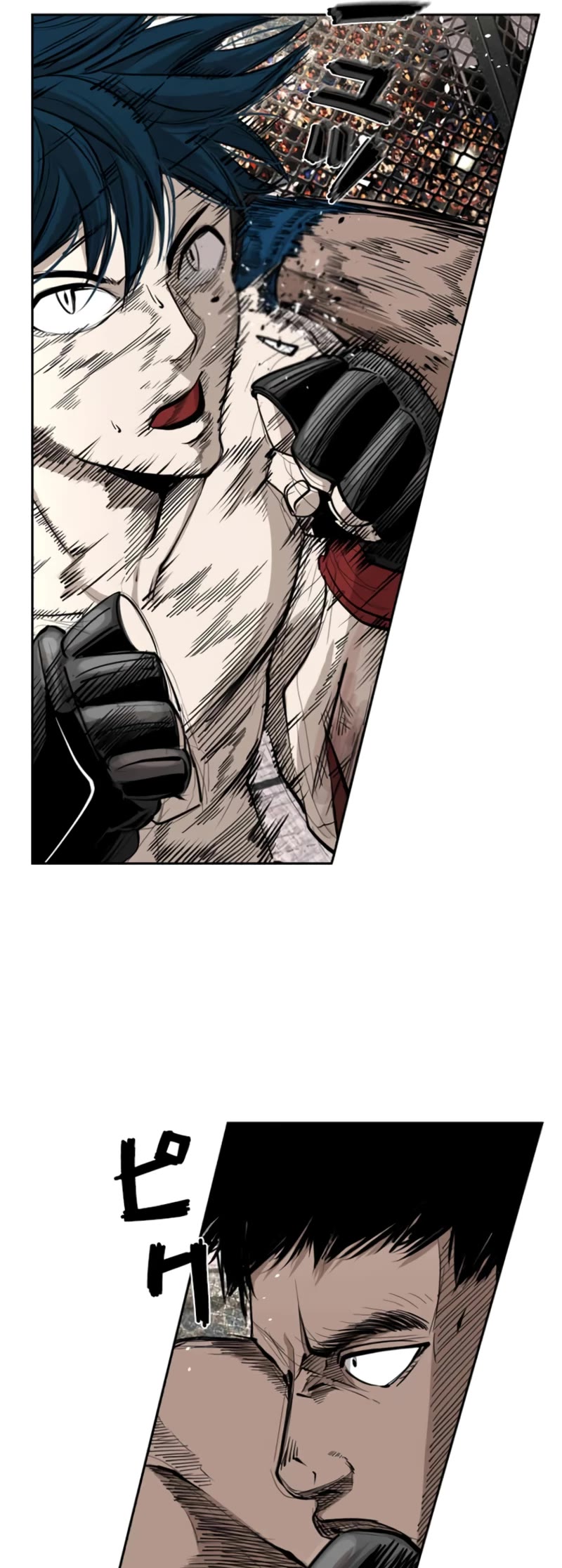 Read Shark EN Manga Online