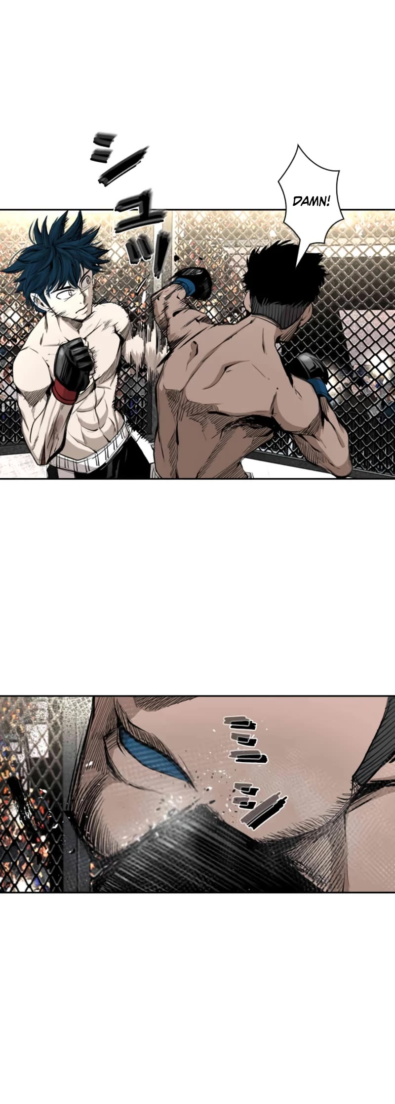 Read Shark EN Manga Online