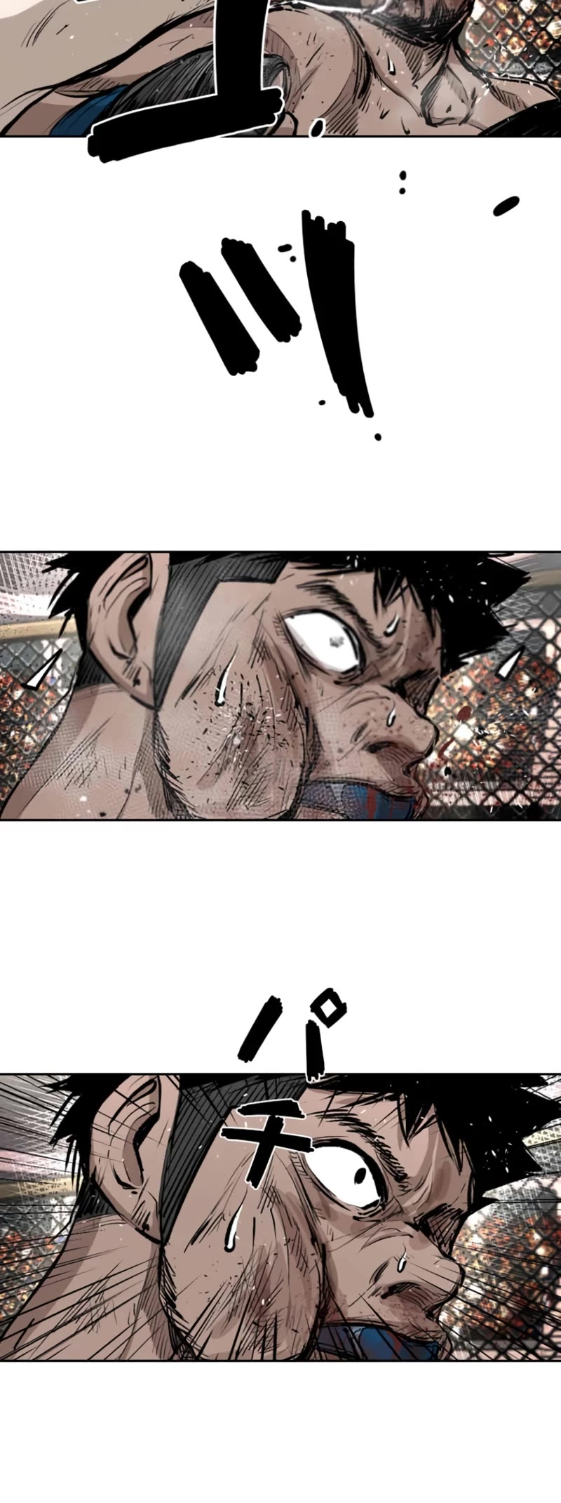 Read Shark EN Manga Online
