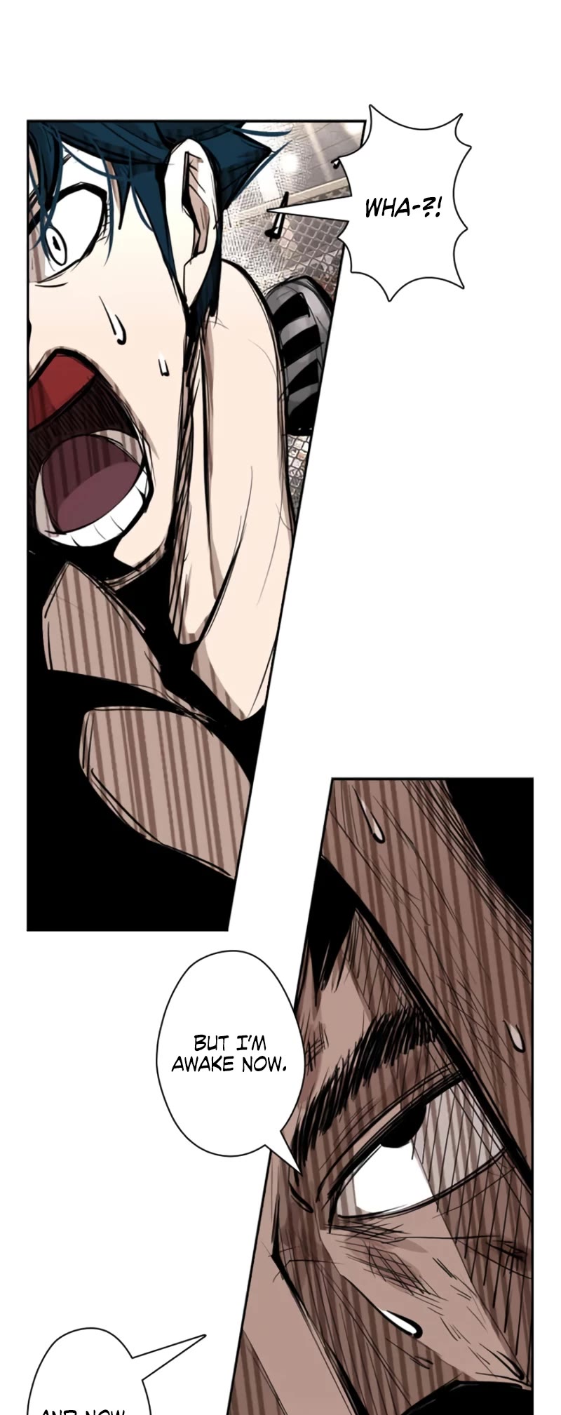 Read Shark EN Manga Online