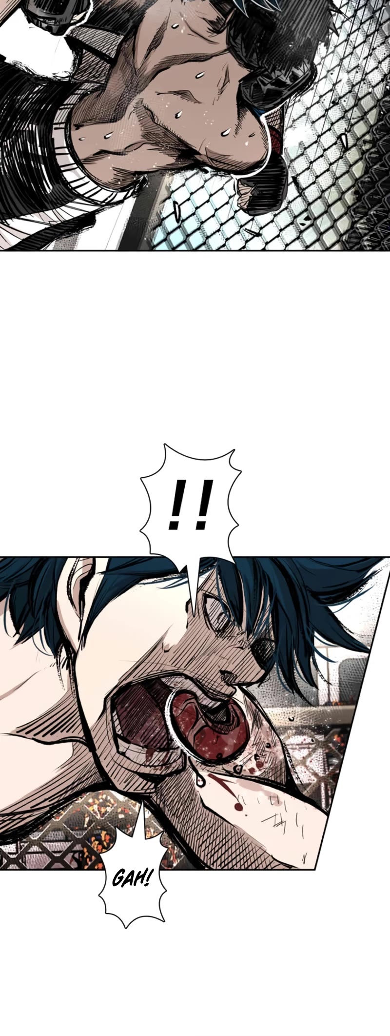 Read Shark EN Manga Online