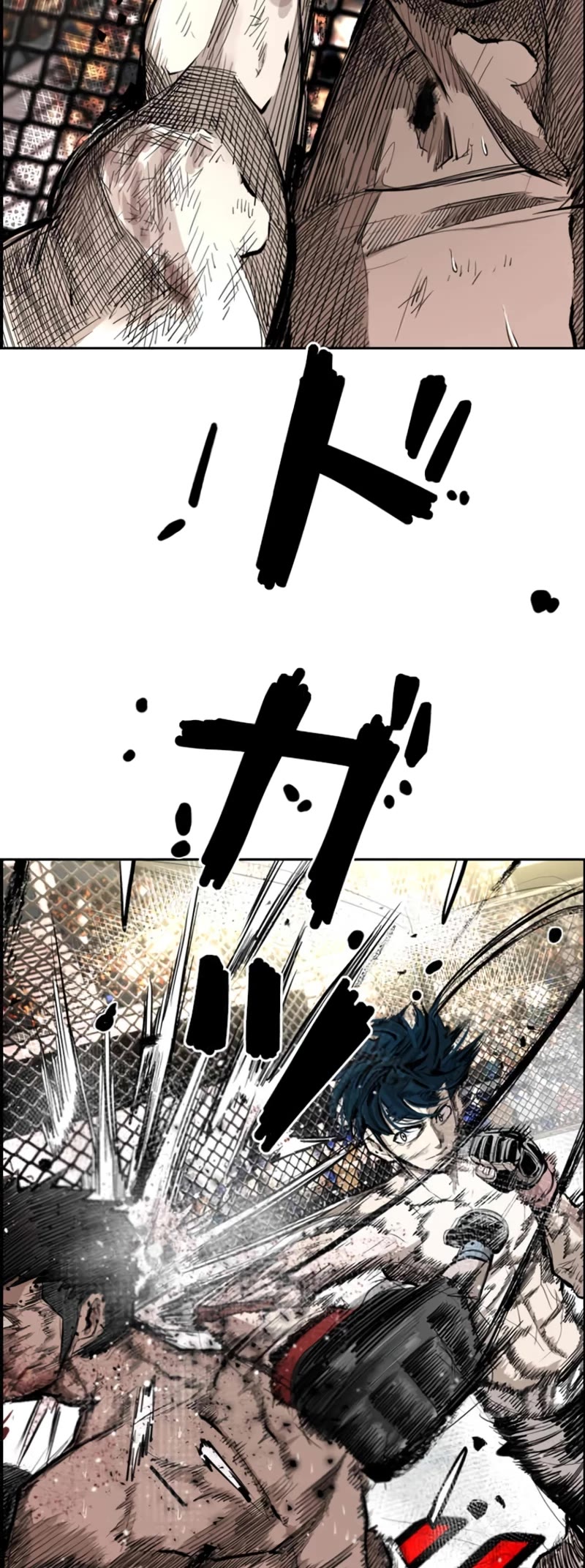 Read Shark EN Manga Online