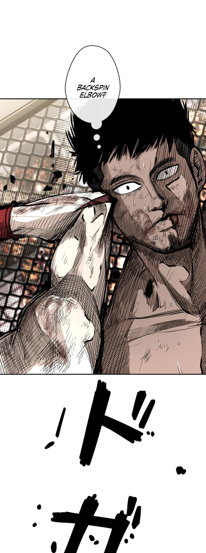 Read Shark EN Manga Online
