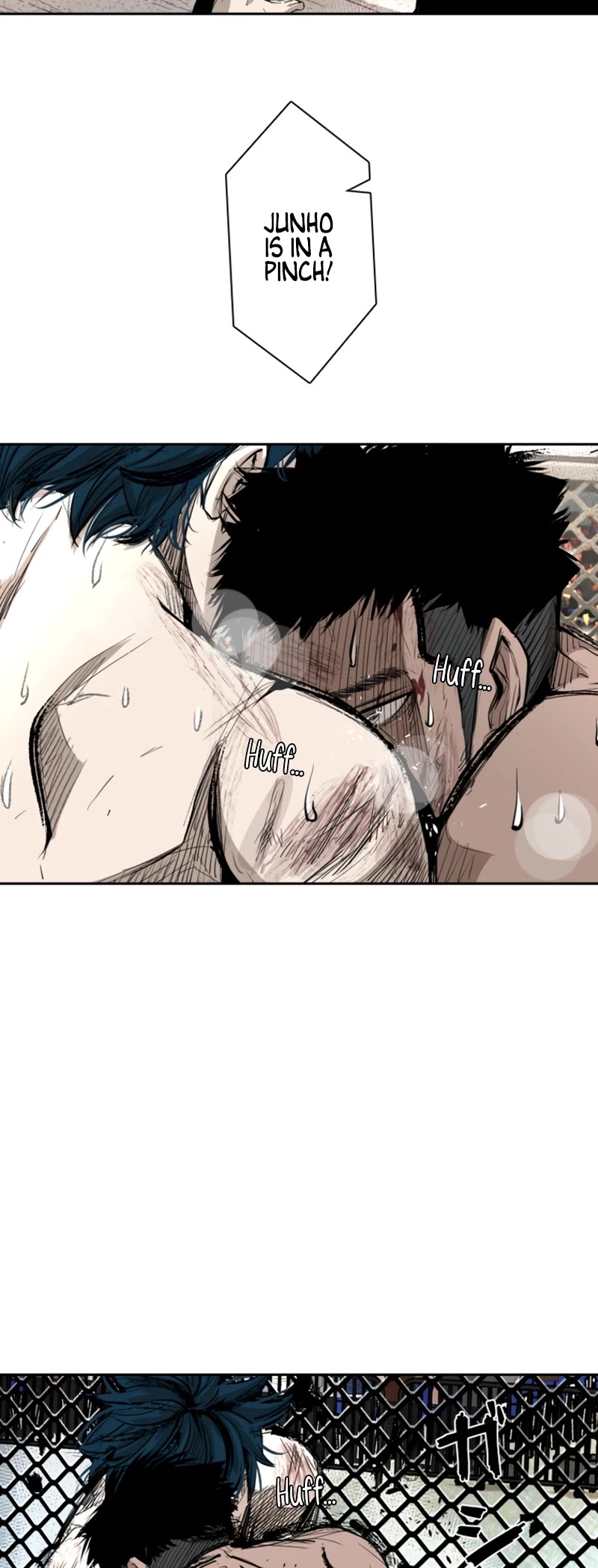 Read Shark EN Manga Online