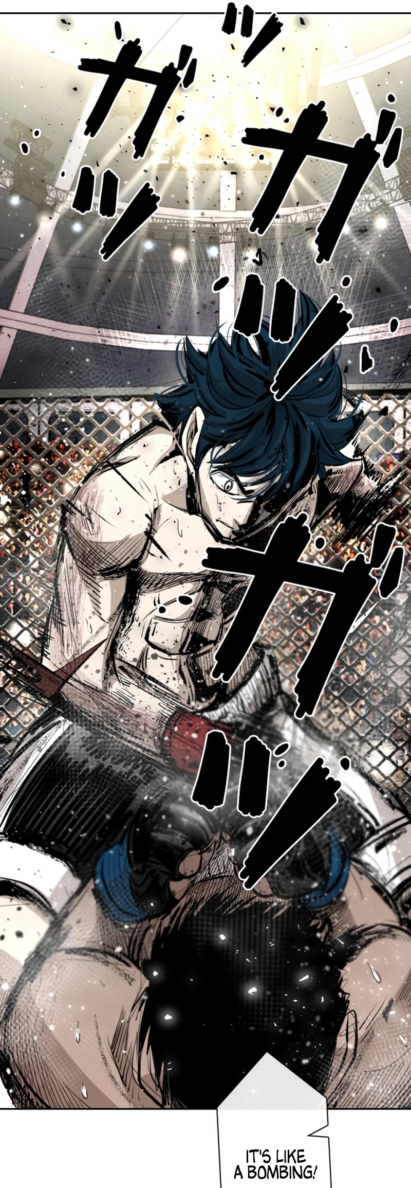 Read Shark EN Manga Online