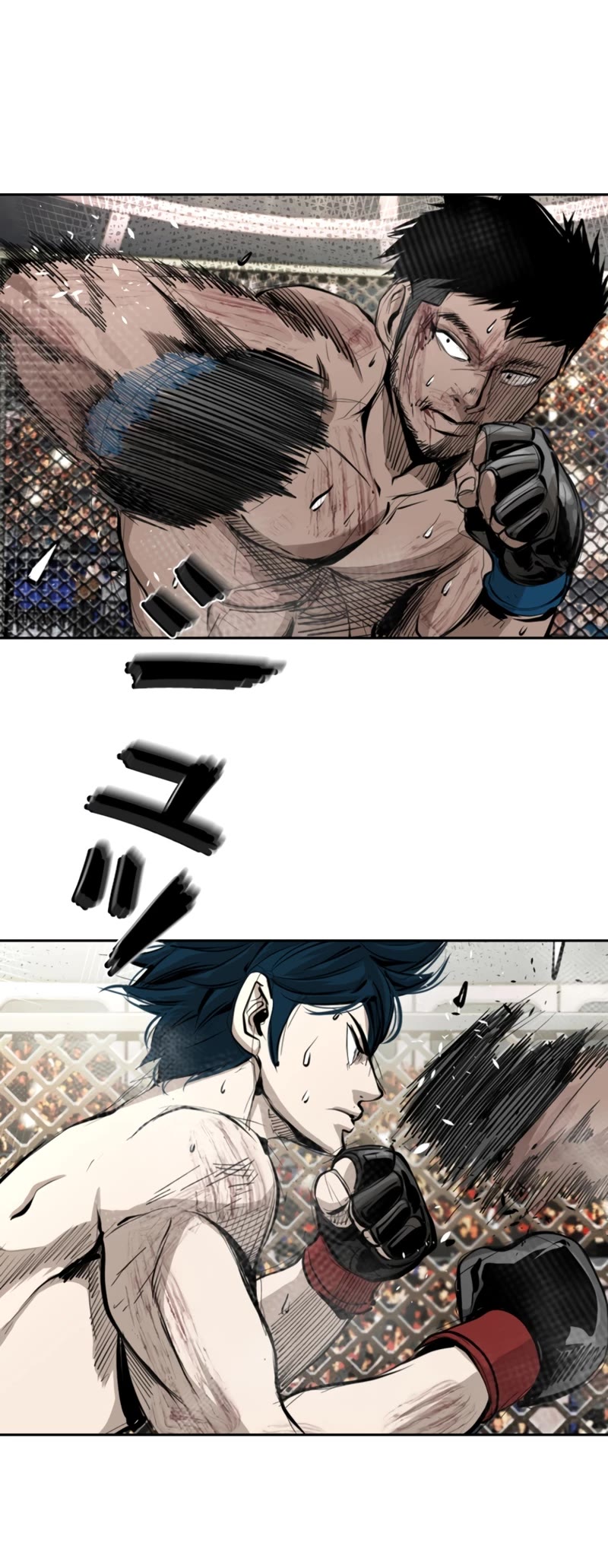 Read Shark EN Manga Online