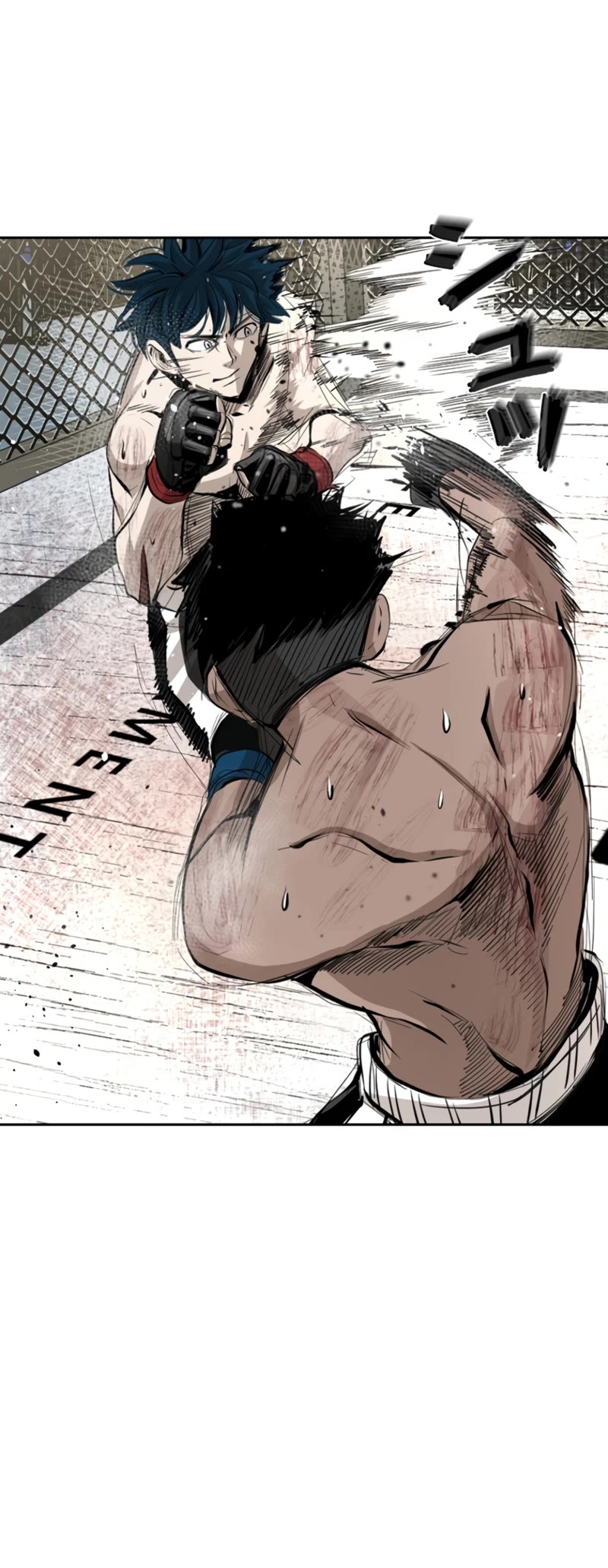 Read Shark EN Manga Online