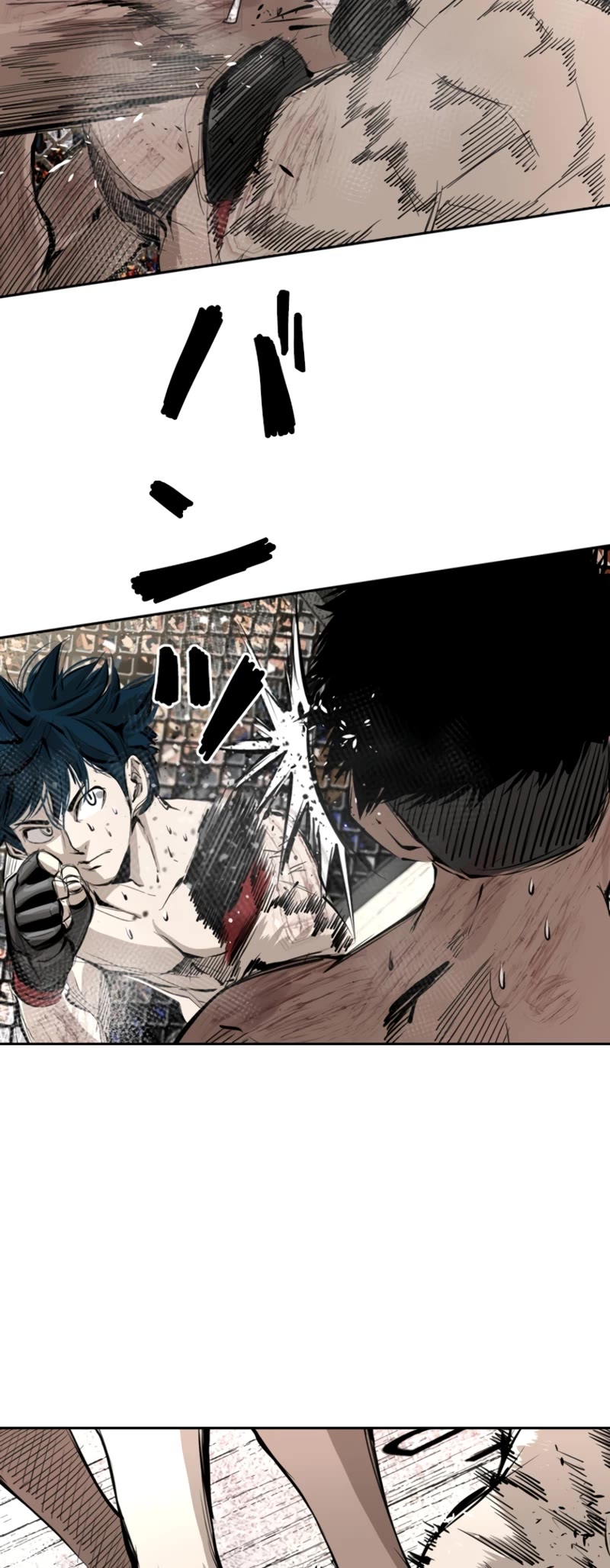 Read Shark EN Manga Online