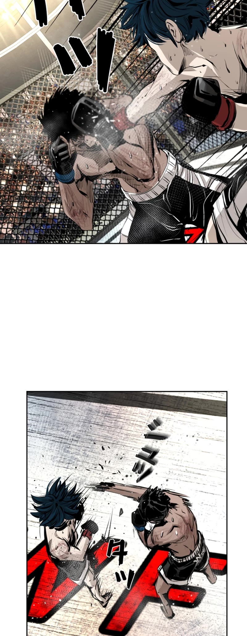 Read Shark EN Manga Online