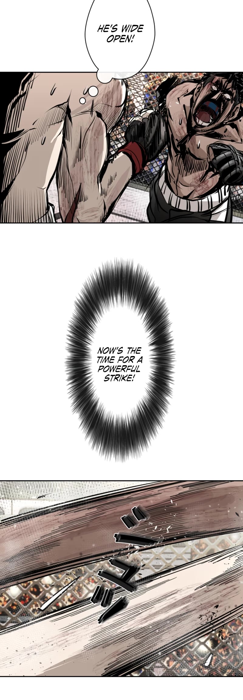 Read Shark EN Manga Online