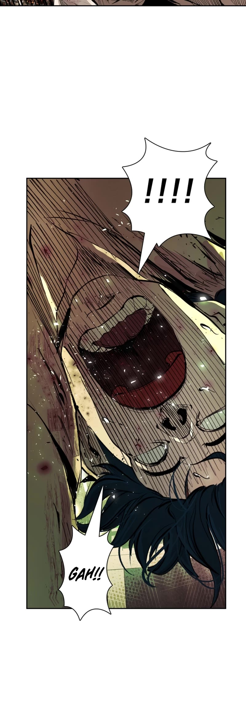 Read Shark EN Manga Online