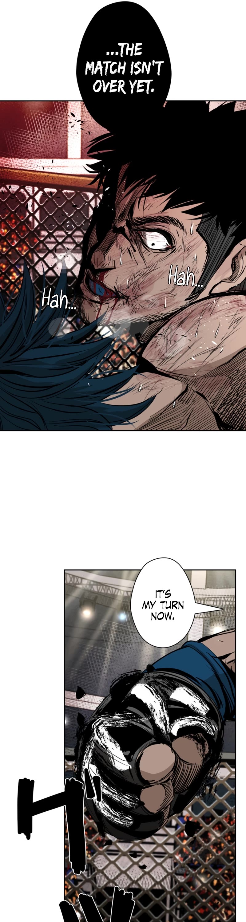 Read Shark EN Manga Online