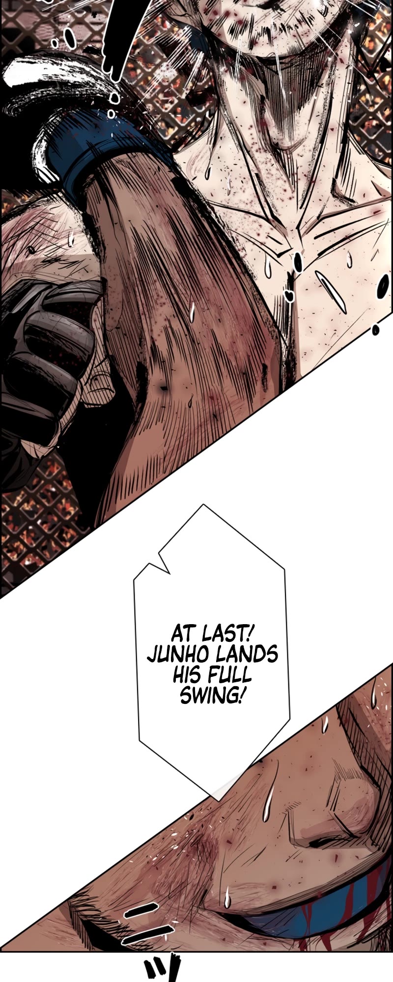Read Shark EN Manga Online