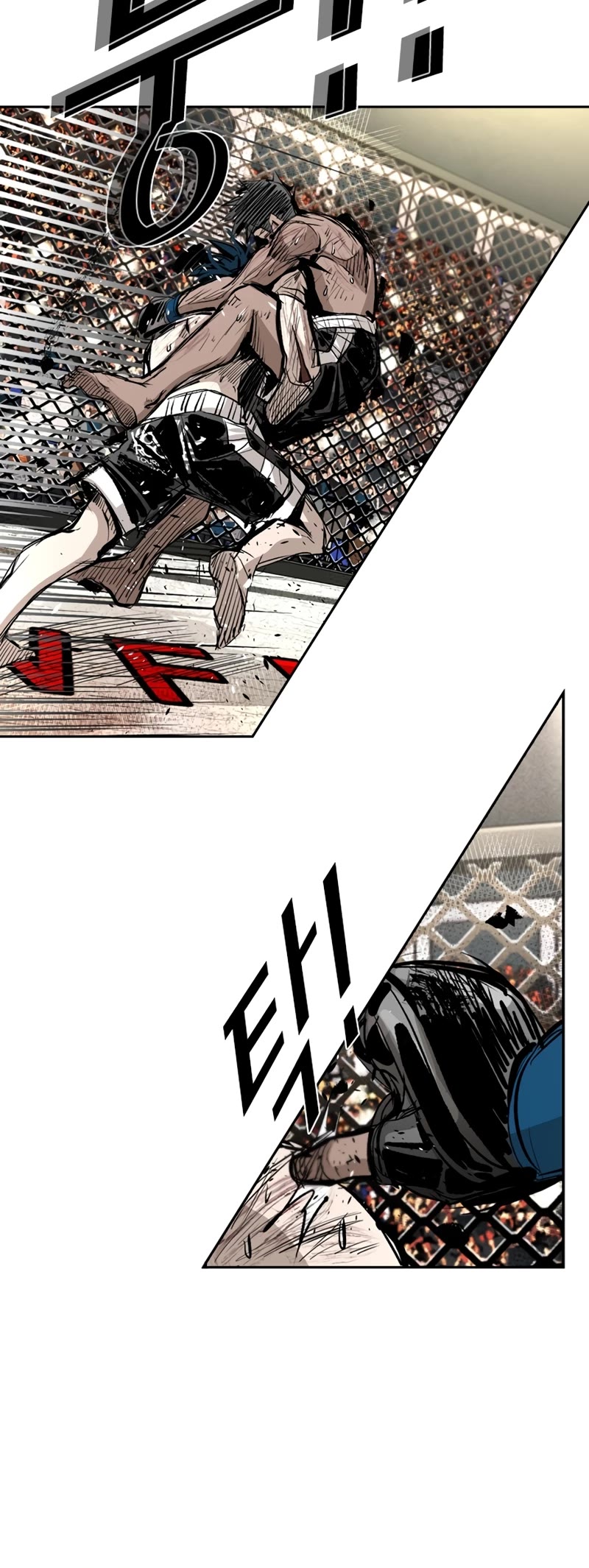 Read Shark EN Manga Online