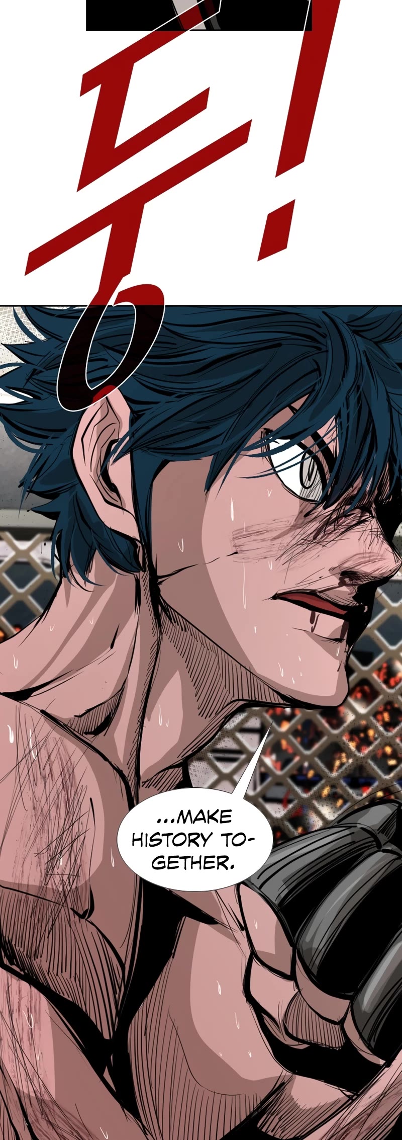 Read Shark EN Manga Online