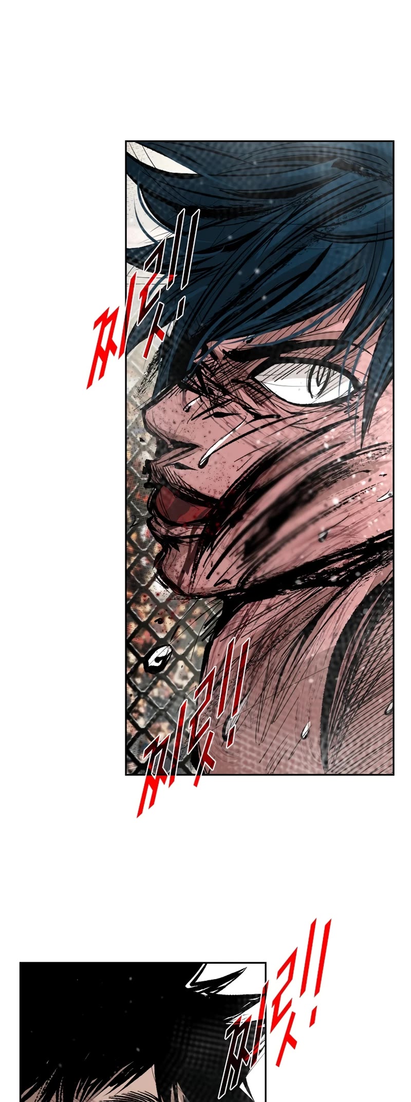Read Shark EN Manga Online