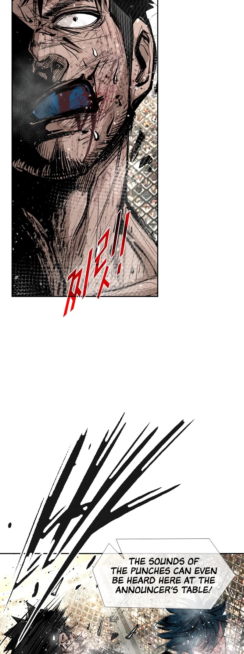 Read Shark EN Manga Online