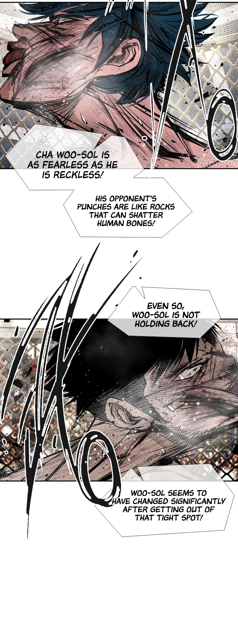 Read Shark EN Manga Online